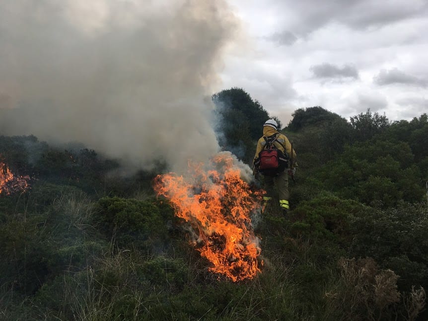 Preventing Wildfires: Interview With Pau Costa Foundation