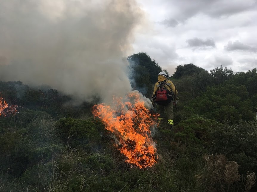 Preventing Wildfires: Interview With Pau Costa Foundation