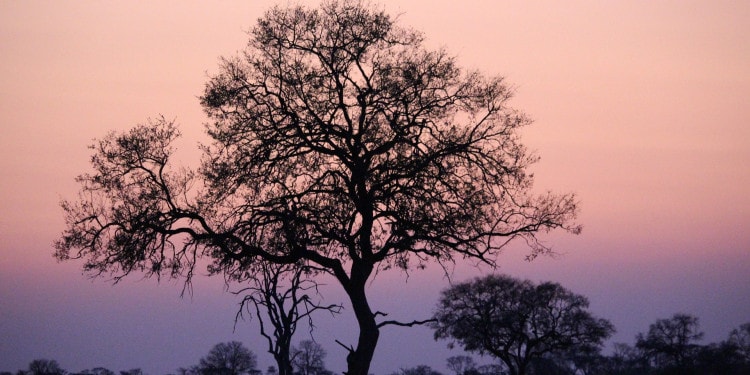 Mindset Change Is Key to Building Sustainable Communities