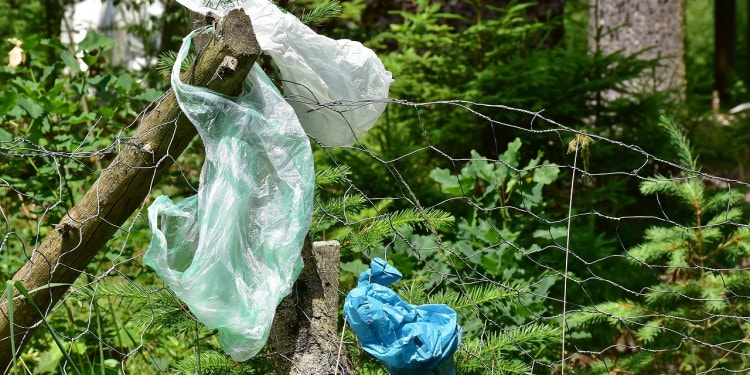 Companies That Care About the Planet as Much as You Do