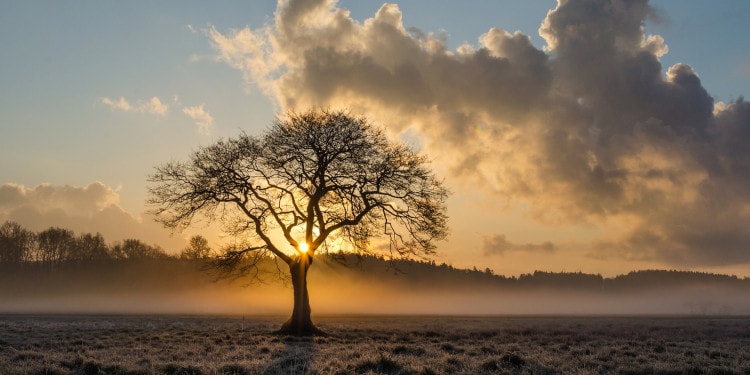 What Can Outlander Teach Us About Sustainability?