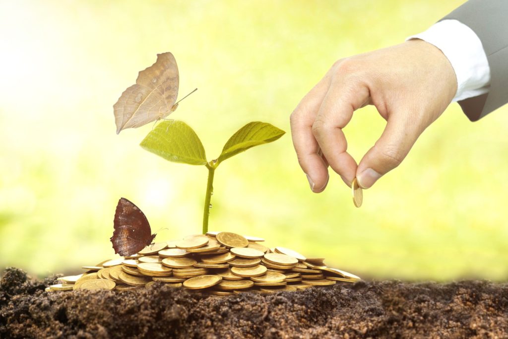 Vestive: Introducing Ethical and Financial Investing