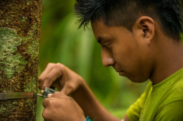 Rainforest Alliance Han de Groot