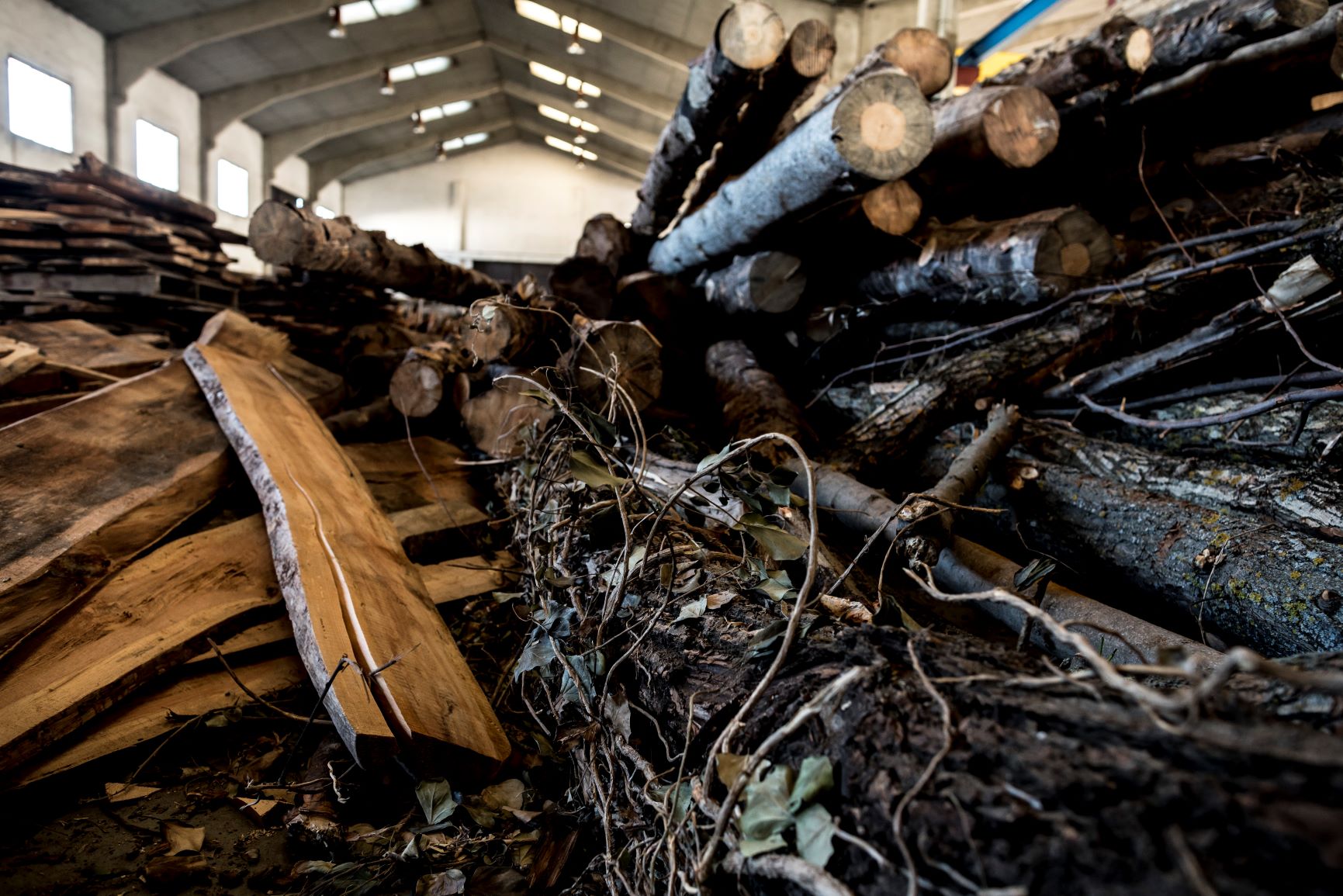 Solid Wood as a Solution: Interview With Sintala Design