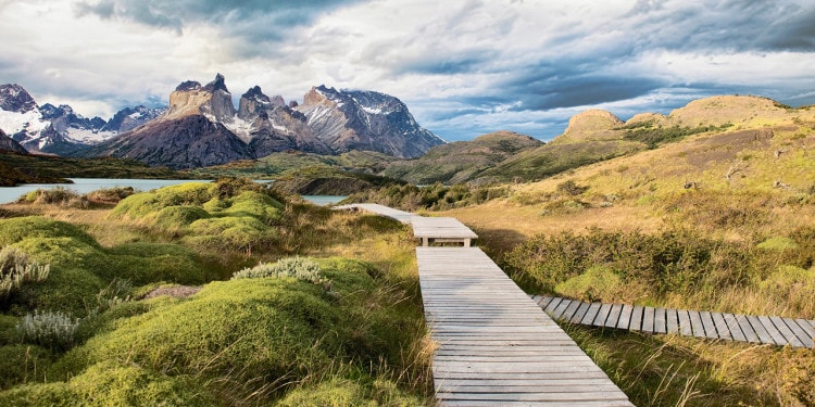 The Tragedy of the Commons: Now on a Planetary Level – What to do