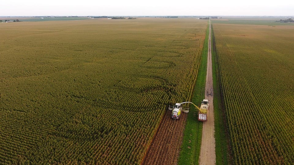 Silicon Valley Insider: Phospholutions vs. Phosphorus Pollution