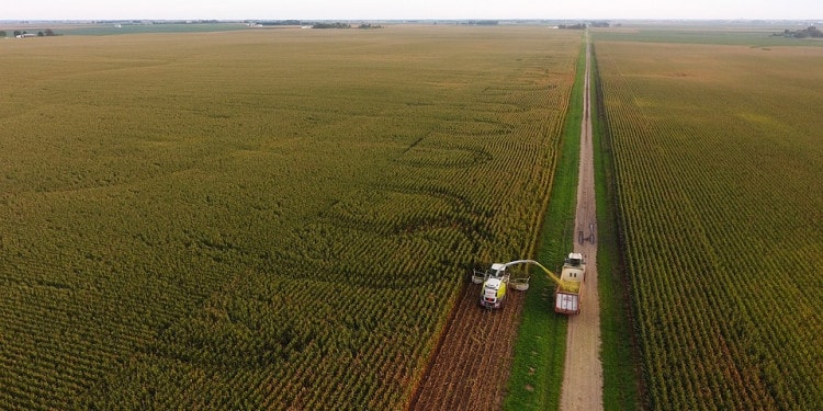 Silicon Valley Insider: Phospholutions vs. Phosphorus Pollution