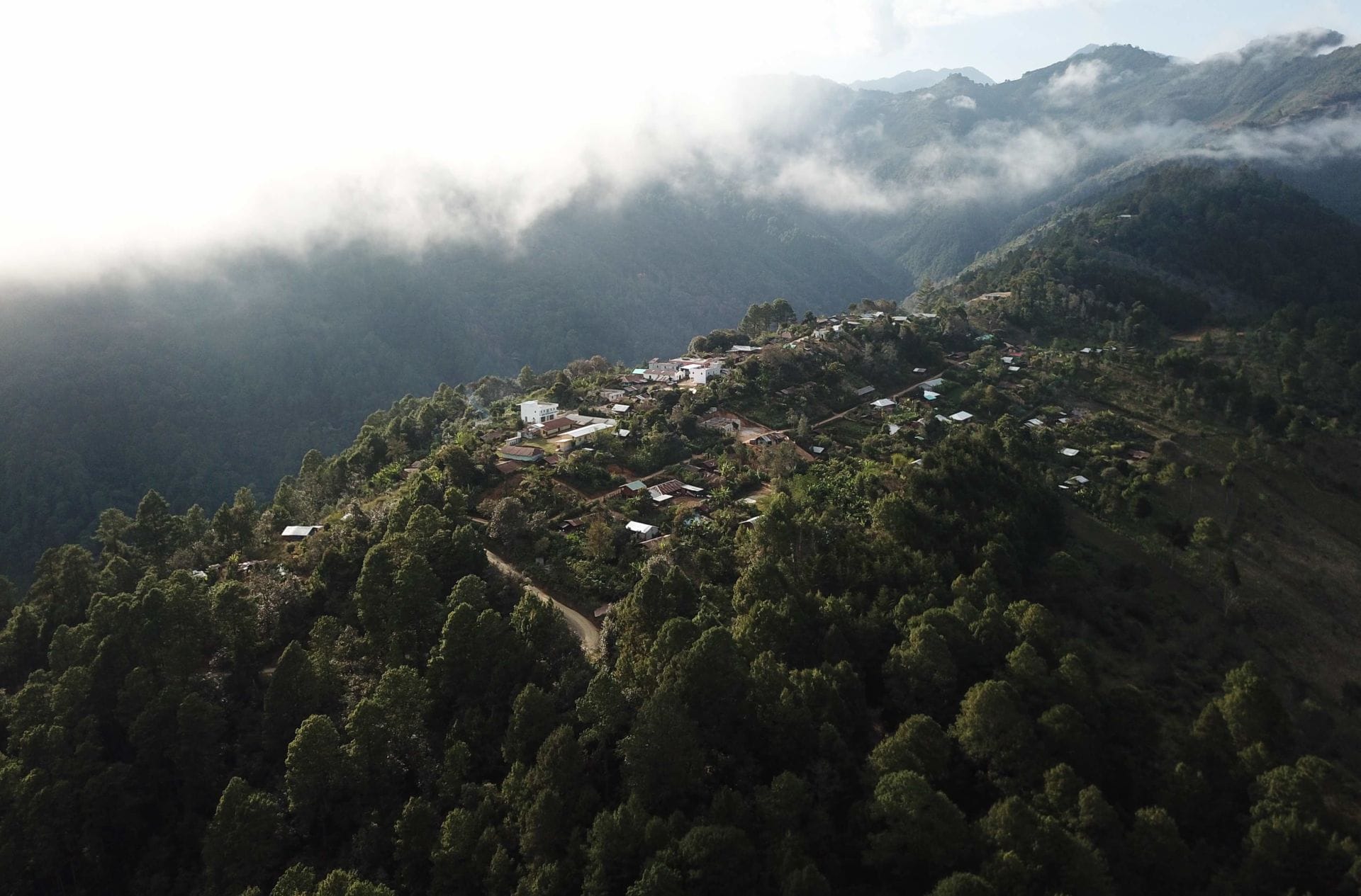 Something Is Brewing in Guatemala: It’s Bold, It’s Strong