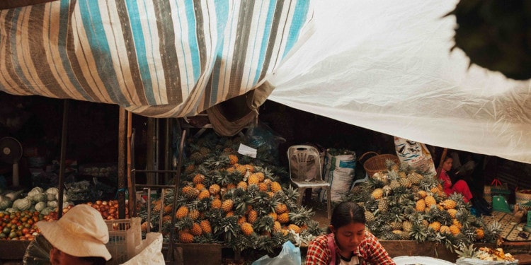 Eliminating Hunger — a Problem of Production or Preservation?