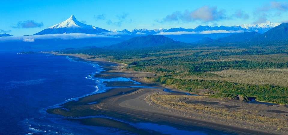 Protected Areas: the Past, Present, and Future of Conservation