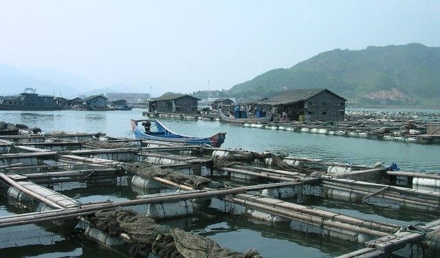 Silicon Valley Insider: Calysta, Closing the Protein Gap with Natural Gas and Fermentation