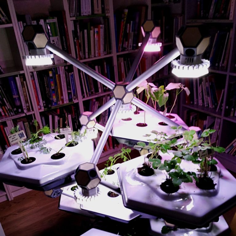 Hexagro's Living Farming Tree
