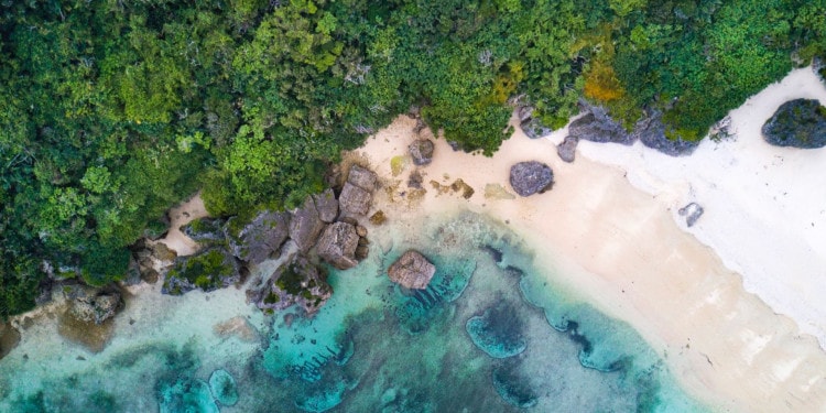 Designing Sustainable Seascapes for New Coasts