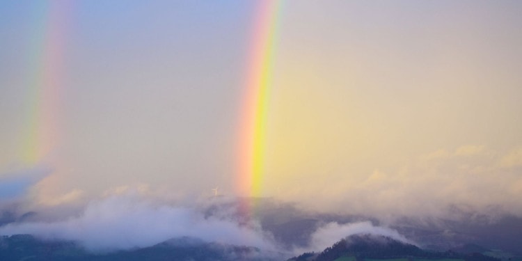 10 Things I’ve Learned as a Queer Woman in the Climate and Energy Fields