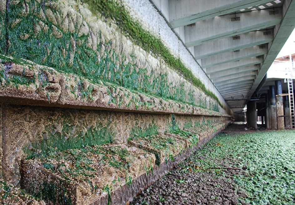 Complex facades on the Elliot Bay Seawall
