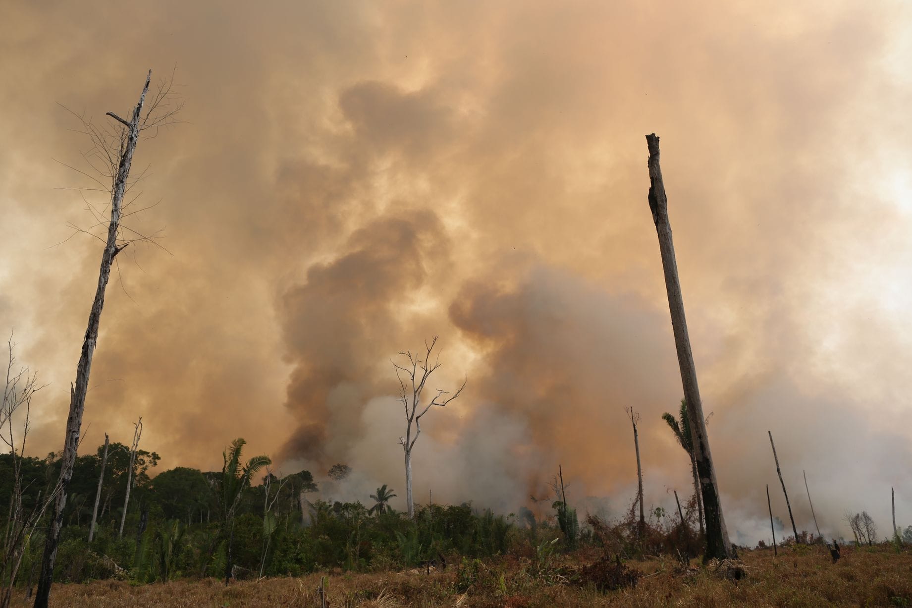 The Amazon Burns Down – Fires threaten Earth’s Largest Rainforest