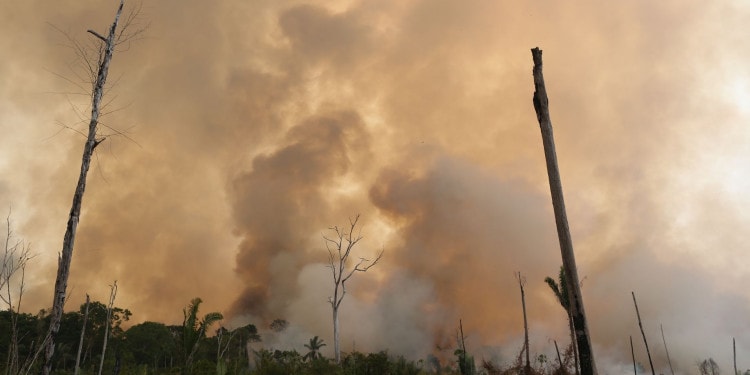 The Amazon Burns Down – Fires threaten Earth’s Largest Rainforest