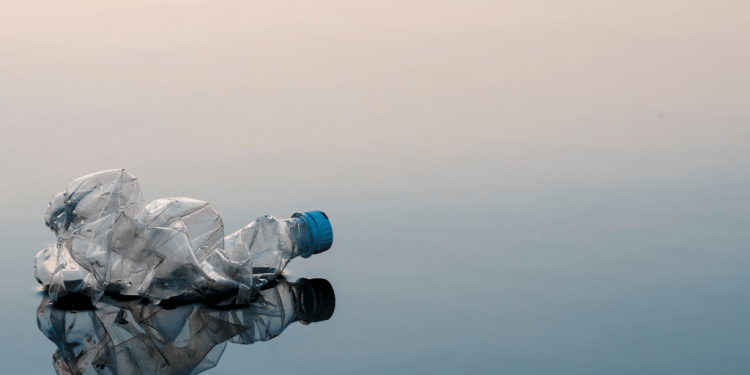The Plastic Challenge: Are We Solving the Plastic Problem or Creating Demons for the Future?