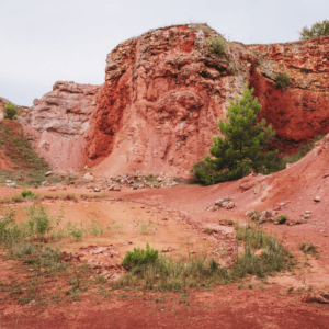 The Plastic Challenge