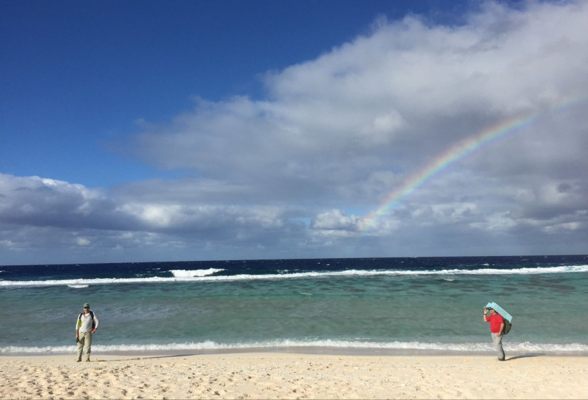 Pacific Paradise