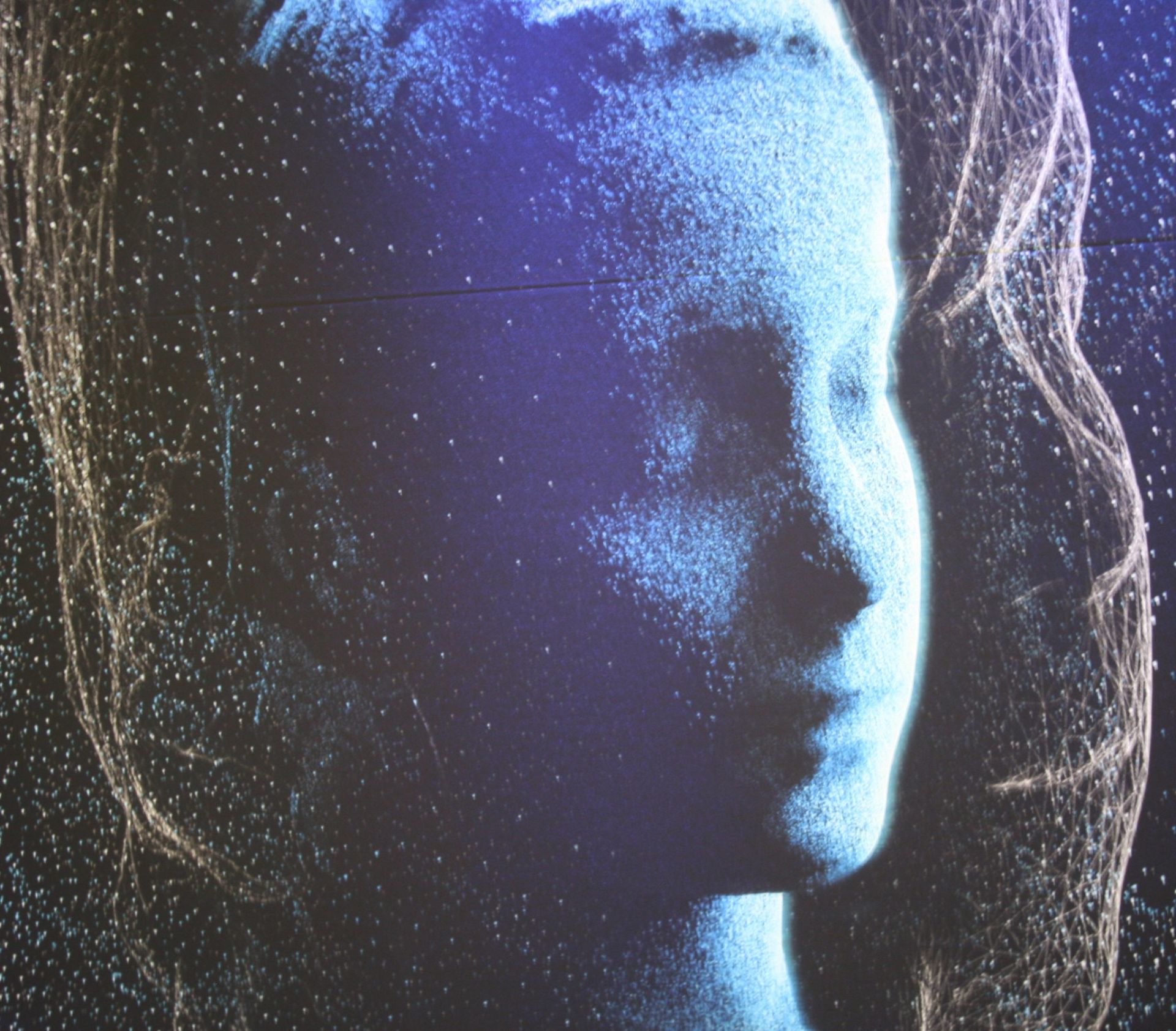 Human Rights in the Digital Age: Data Literacy in Tackling the Big Data Divide