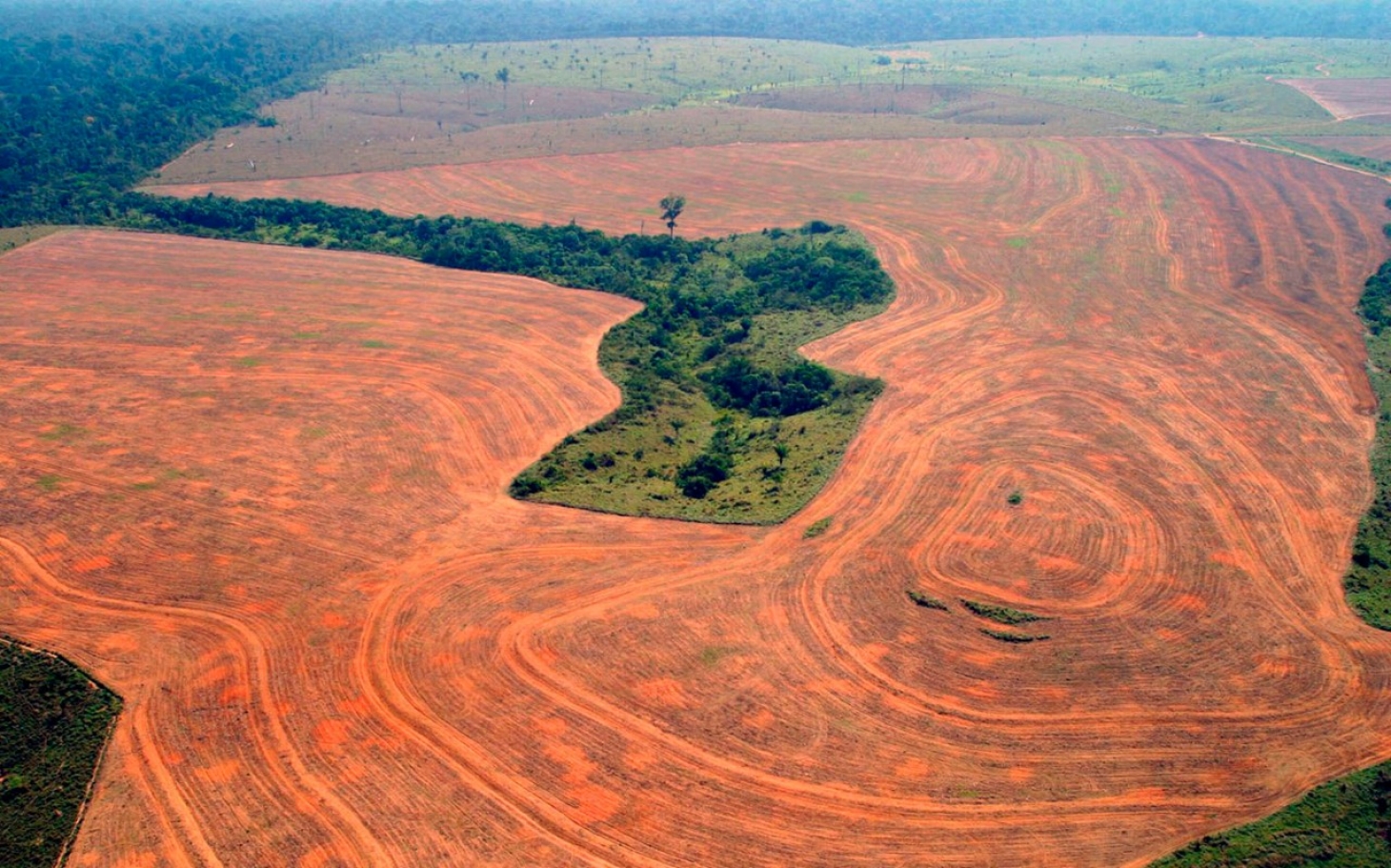 A depiction of the deforestation occurring in the Amazon