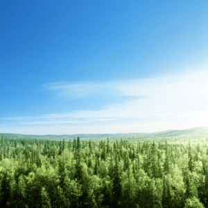 The Plastic Challenge