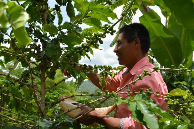 Playing to achieve sustainable agriculture