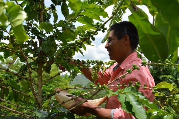 Playing to achieve sustainable agriculture