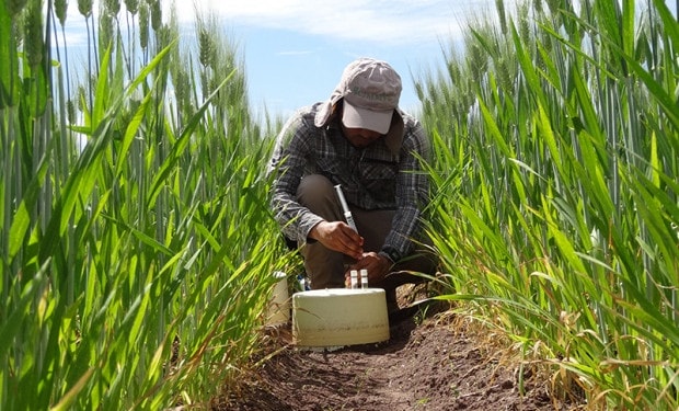 Farmers and climate to profit from more precise fertilizer management