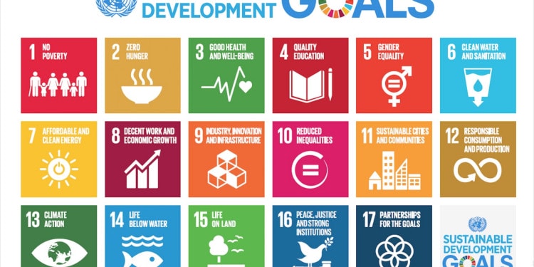 How the Sustainable Development Goals Provide a Framework for Impact-Minded Businesses