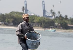 Sustainable Food Systems