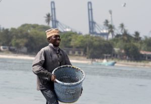 Sustainable Food Systems