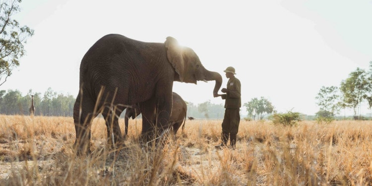 Engaging the ‘Unusual Suspects’: An Interview With Azzedine Downes