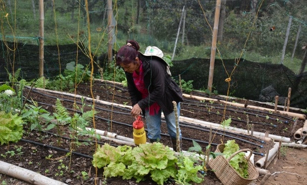 Climate-Smart Village Cauca: an example of agricultural and social transformation