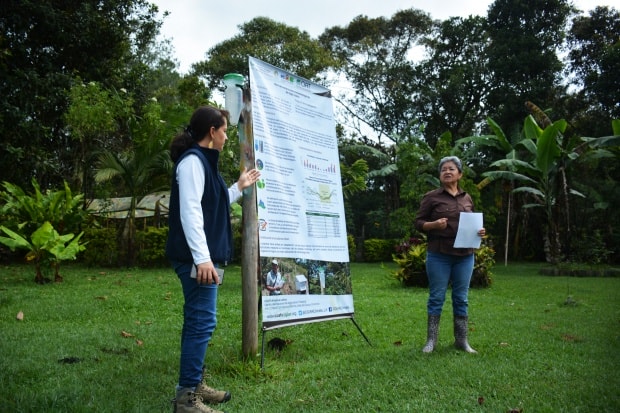 Learning about adaptation and mitigation from Cauca