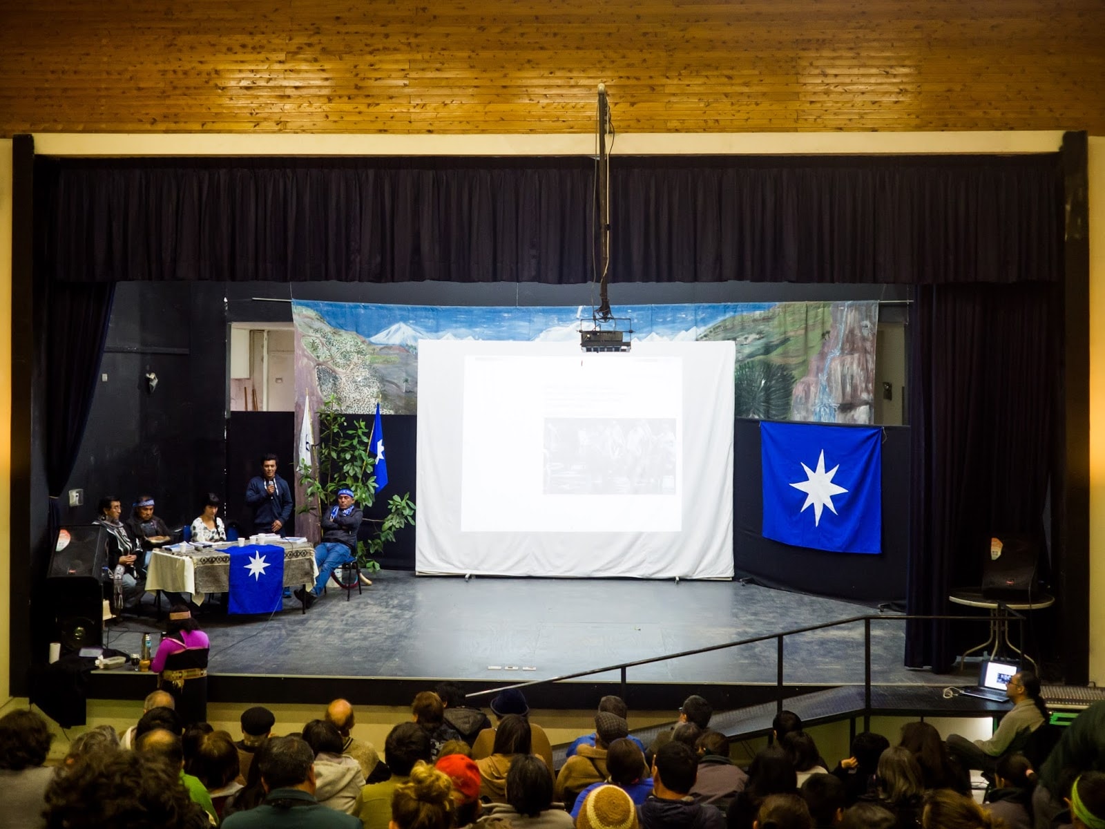 Logko in the launch of the book, MAPU CHILLKANTUKUN ZUGU, in Curacautin.
