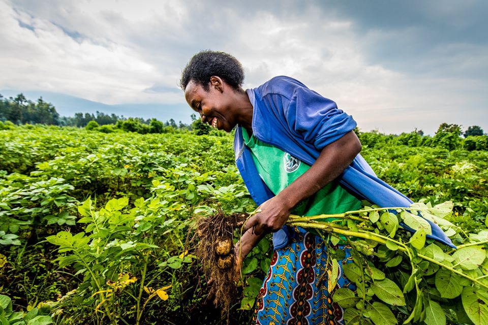 Sustainable intensification of agriculture is the way to go for developing countries!