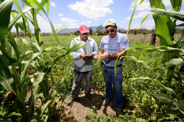 Honduras analyzes its public policies on climate change