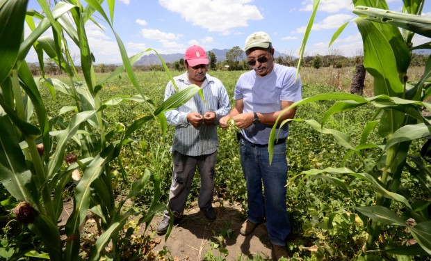 Honduras analyzes its public policies on climate change