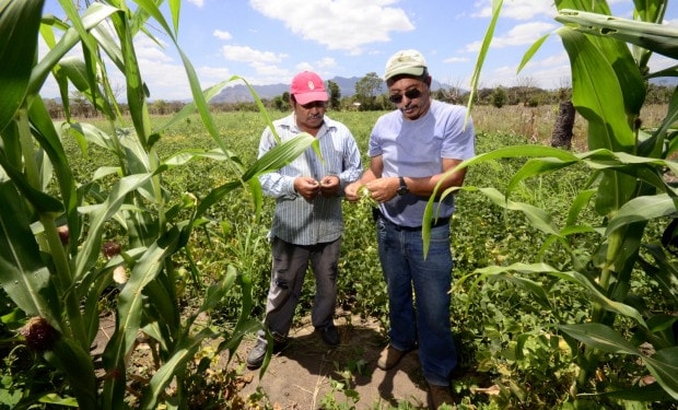Honduras analyzes its public policies on climate change