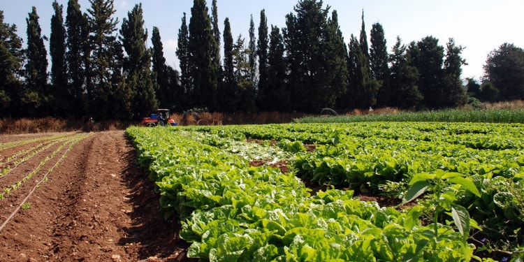 Sustainable Leaders Reducing the Impact of Agriculture on Climate Change