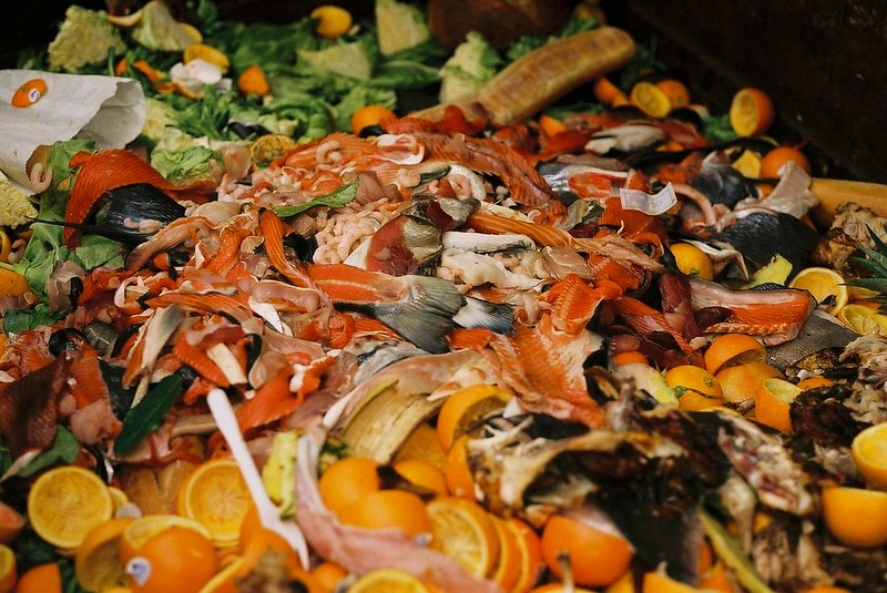 From Rubbish to Resource: Building Resilient Urban Food Systems