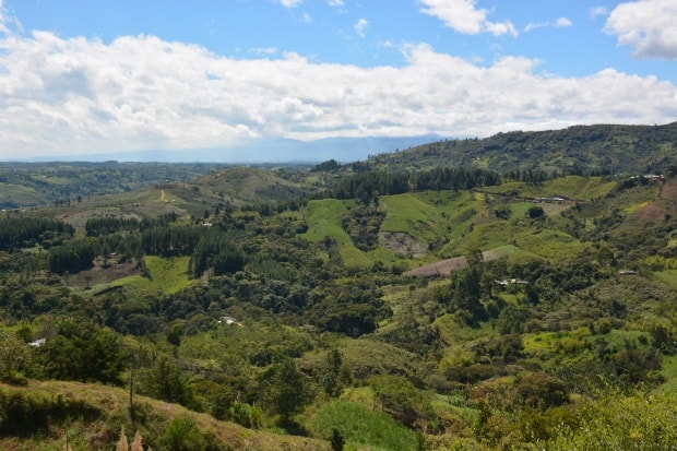 Innovation platforms: key spaces for CSA implementation