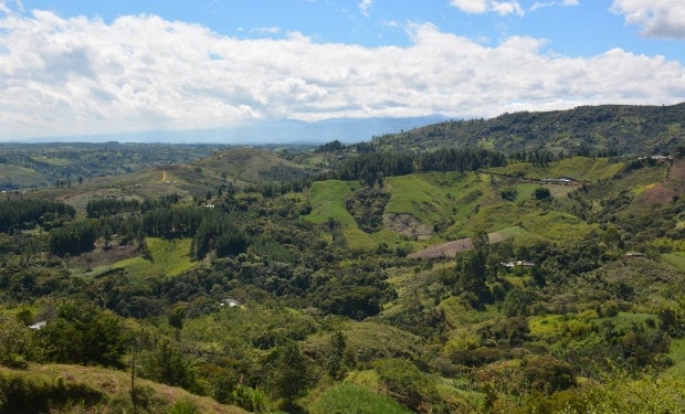 Innovation platforms: key spaces for CSA implementation