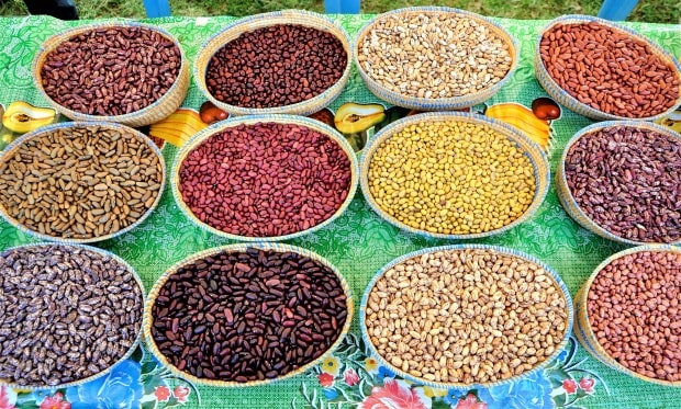 Nyando Climate-Smart Village launches community seedbank