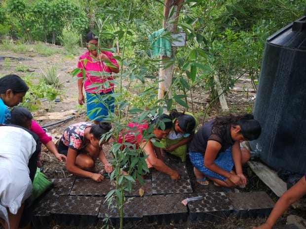 Agriculture, food security and climate change with a gender lens