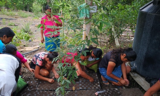 Agriculture, food security and climate change with a gender lens