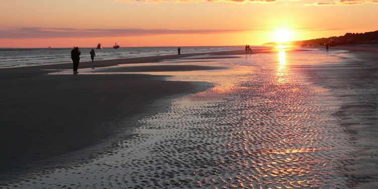 Virtual Island Summit 2019 Roundup