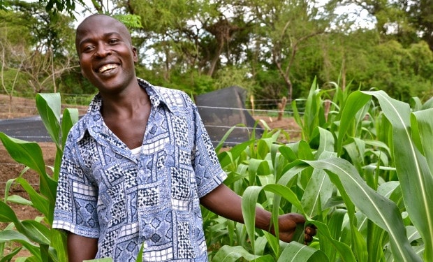 Is climate-smart and digital agriculture the silver bullet to attract youth?